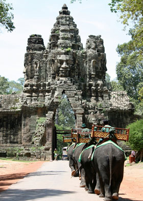 4 Elefanten auf einem Weg, der duch einen Tempeltorbogen führt.
